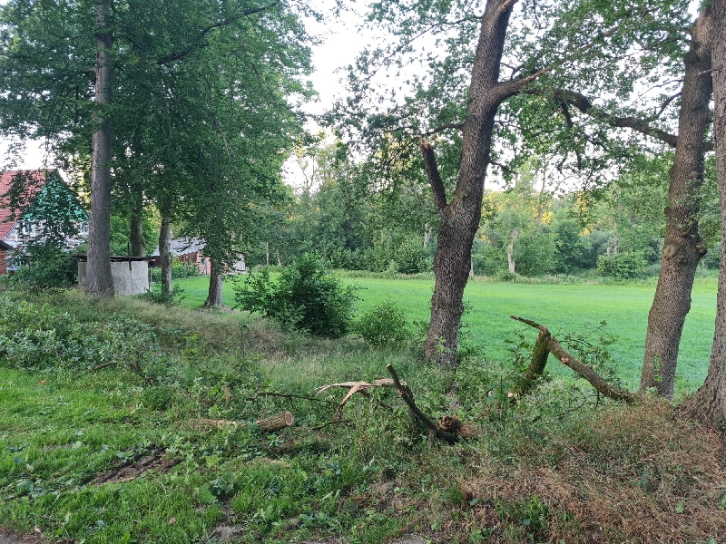 Hilfeleistung Hilfeleistung